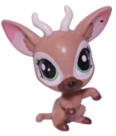 #3888 Gazelle "Bongo Brill"